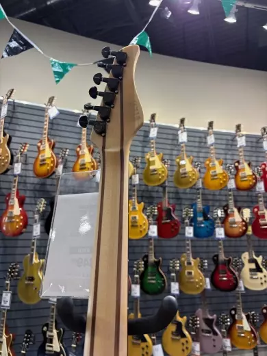 Schecter - 1500-SHC 6